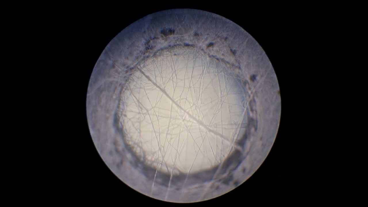 Electrospinning: Solution of Polystyrene in Ethyl Acetate